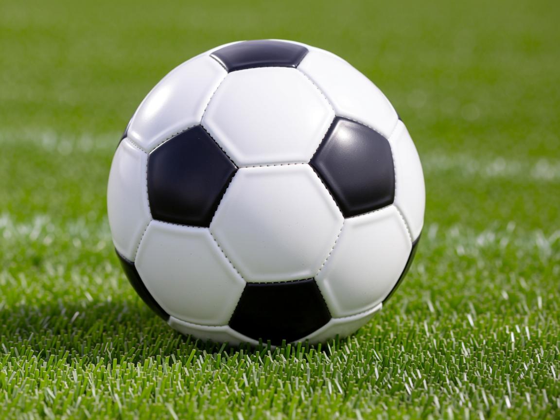 爱游戏体育在线-勒沃库森主场失利，遭遇柏林赫塔强势反扑  第2张