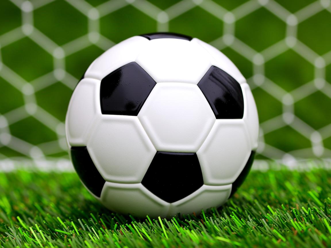 爱游戏官网app-“腰旗橄榄球：东部新区赛场挑战极限，成为赛季亮点”  第3张