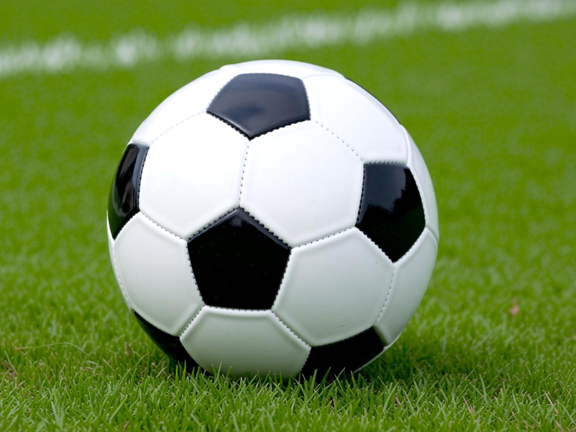 爱游戏体育下载-福建队正面全力，斗志昂扬