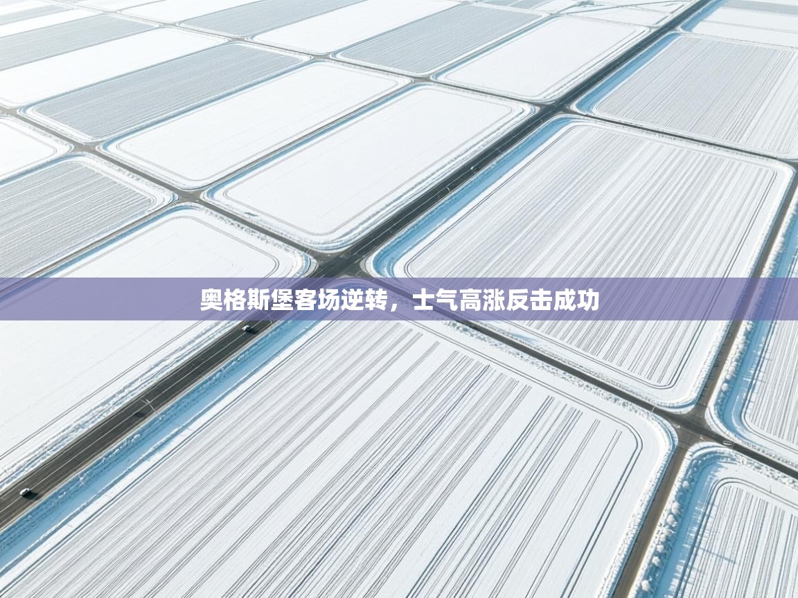 奥格斯堡客场逆转，士气高涨反击成功  第2张