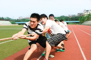 爱游戏-体育新闻中心联合高校开展体育内容创新创业竞赛,学校体育创新项目 第3张