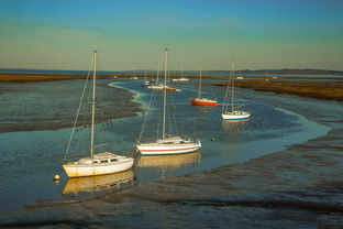 爱游戏平台-兴隆湖上演“国际艇战”，多国精英争锋